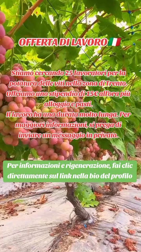 TikTok video thumbnail by annuncio.di.lavoro