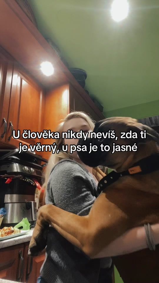 TikTok video thumbnail by ziskovaan