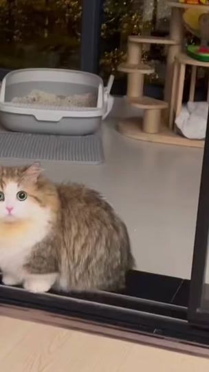 TikTok video thumbnail by 95234utp