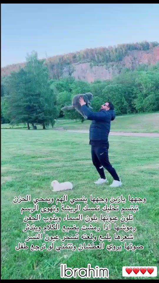 TikTok video thumbnail by ibra_cats