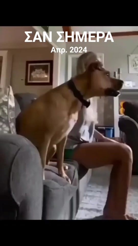 TikTok video thumbnail by user7355537299134