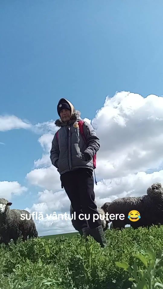 TikTok video thumbnail by andreeaavram886