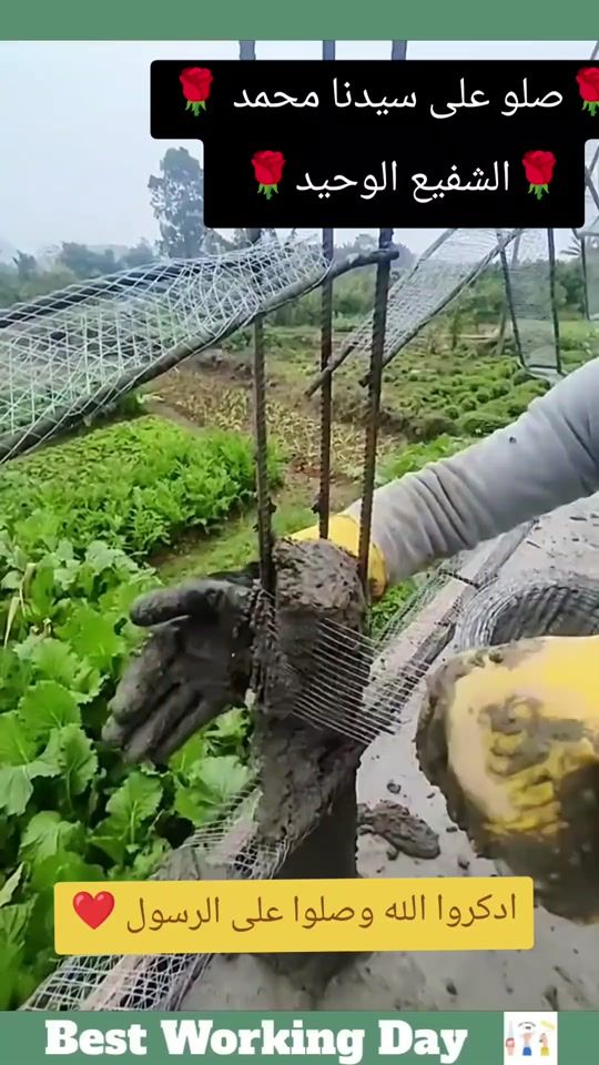 TikTok video thumbnail by bdr_mchary