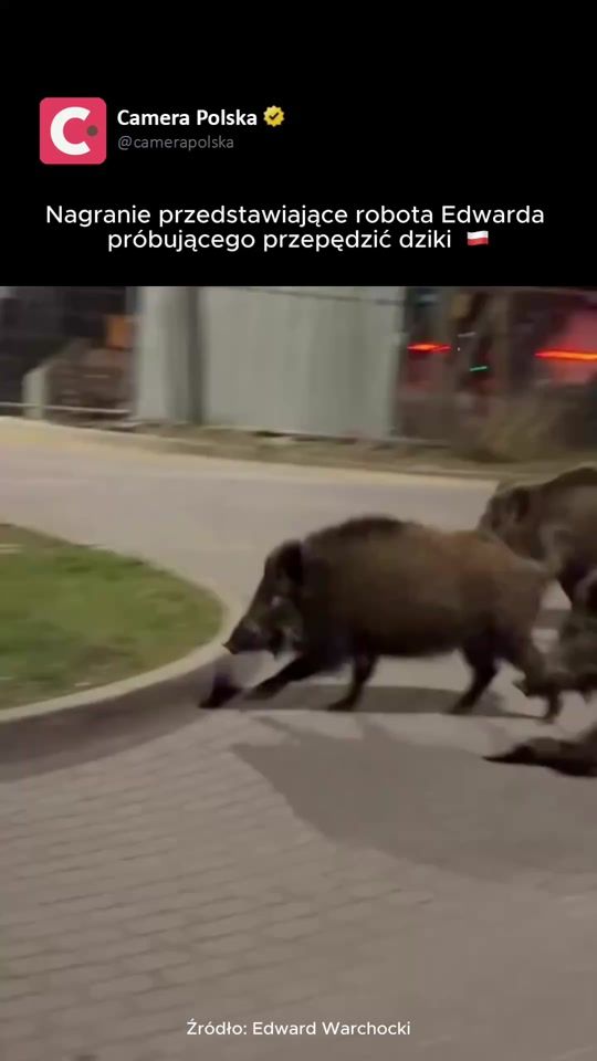 TikTok video thumbnail by camerapolska