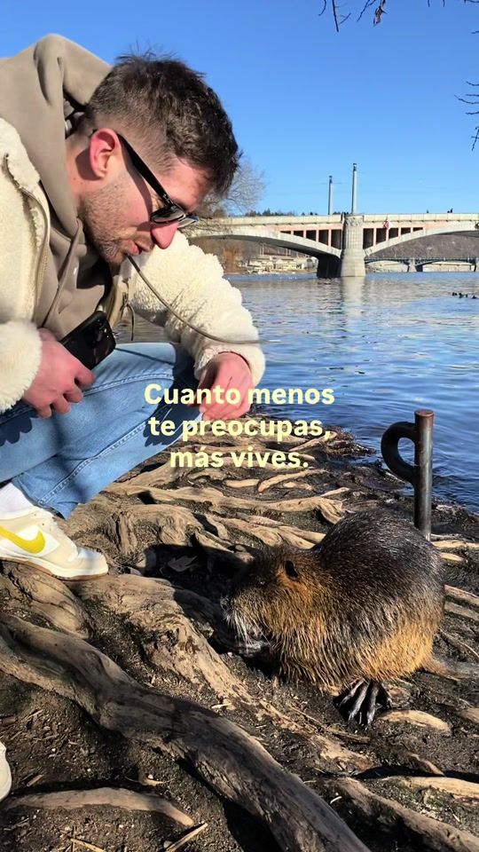 TikTok video thumbnail by pablo_enut