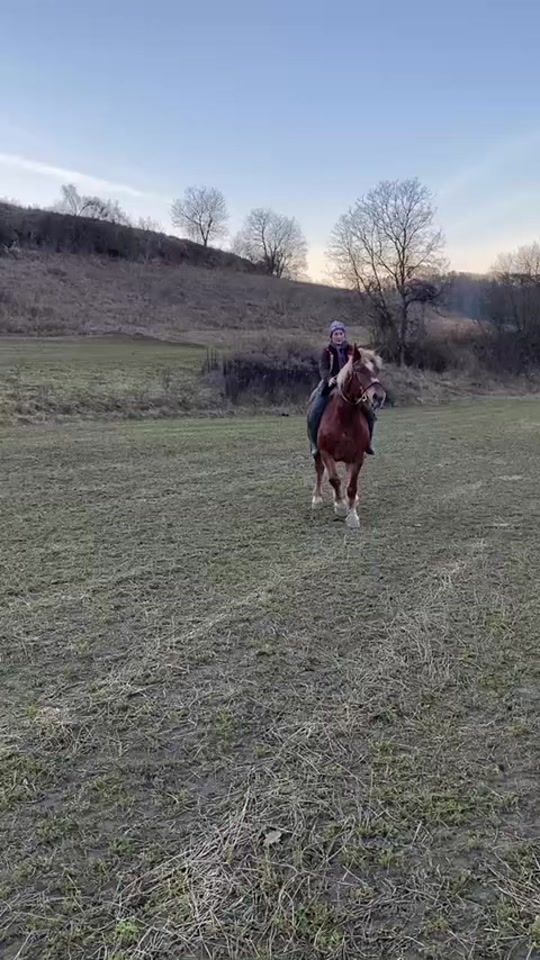 TikTok video thumbnail by c_a_ii