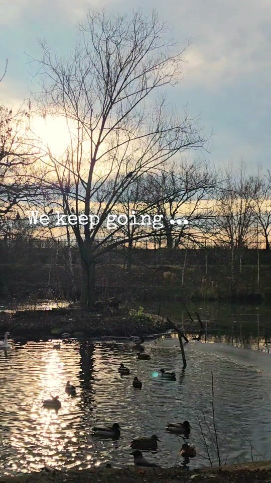 TikTok video thumbnail by evoow4