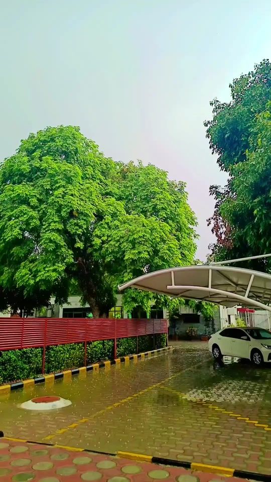 TikTok video thumbnail by maqsood.nawaz68