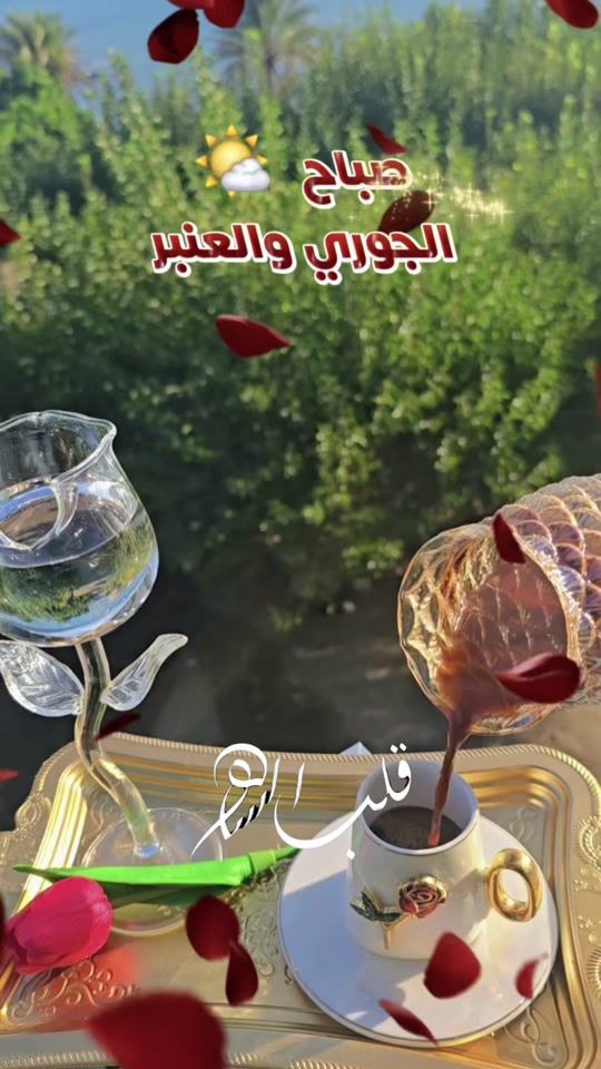TikTok video thumbnail by alsahir1001