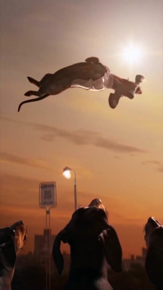 TikTok video thumbnail by minigily