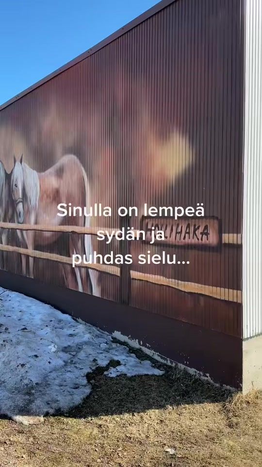 TikTok video thumbnail by sailuska74