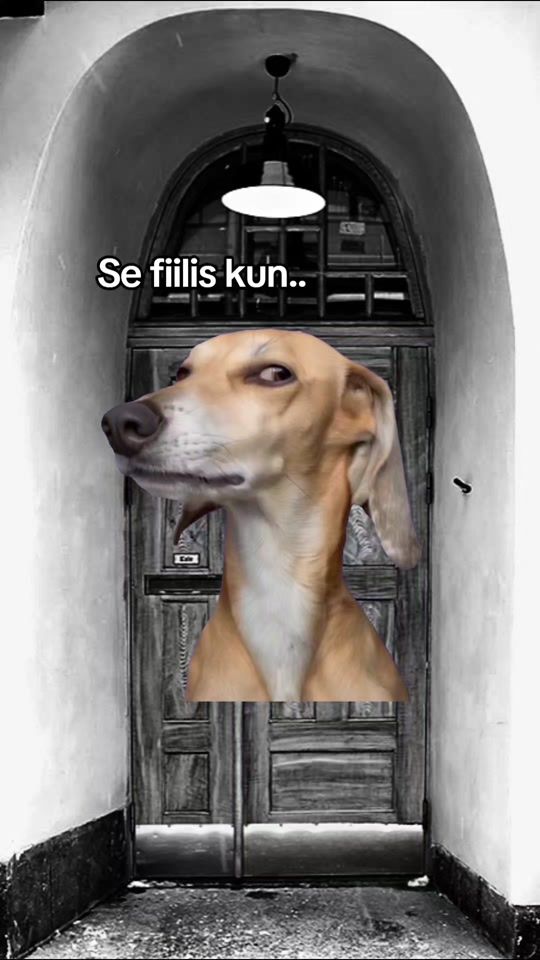 TikTok video thumbnail by vaanaikaa