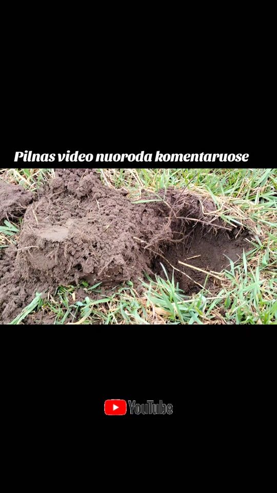 TikTok video thumbnail by almantas_historykeeper