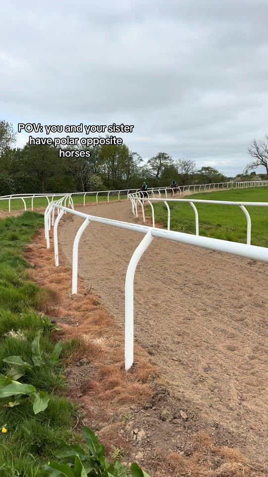 TikTok video thumbnail by pippa..gibbon