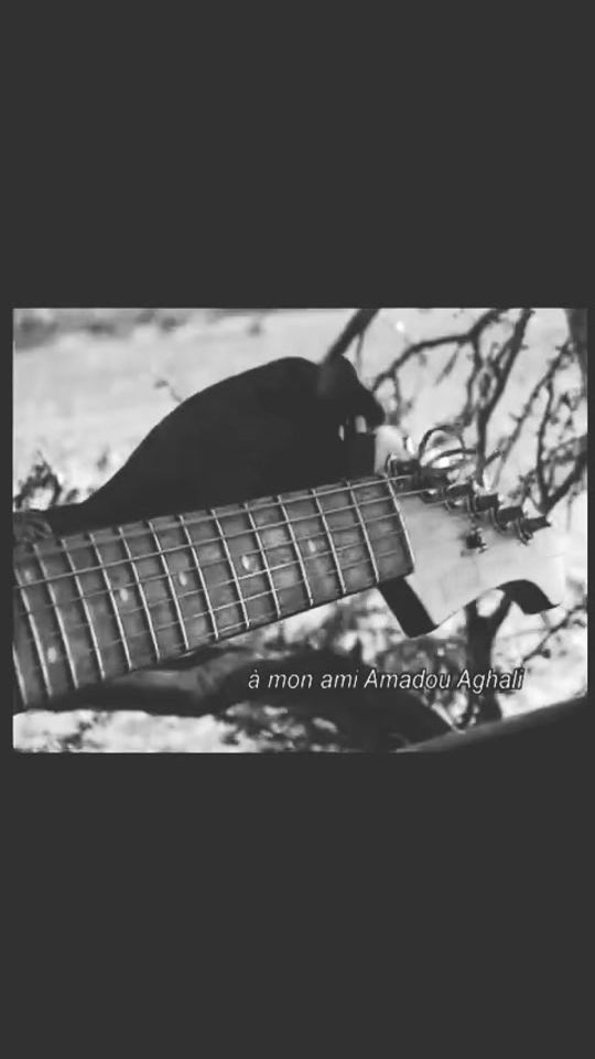 TikTok video thumbnail by baligi..b
