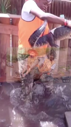 TikTok video thumbnail by jrdweeb