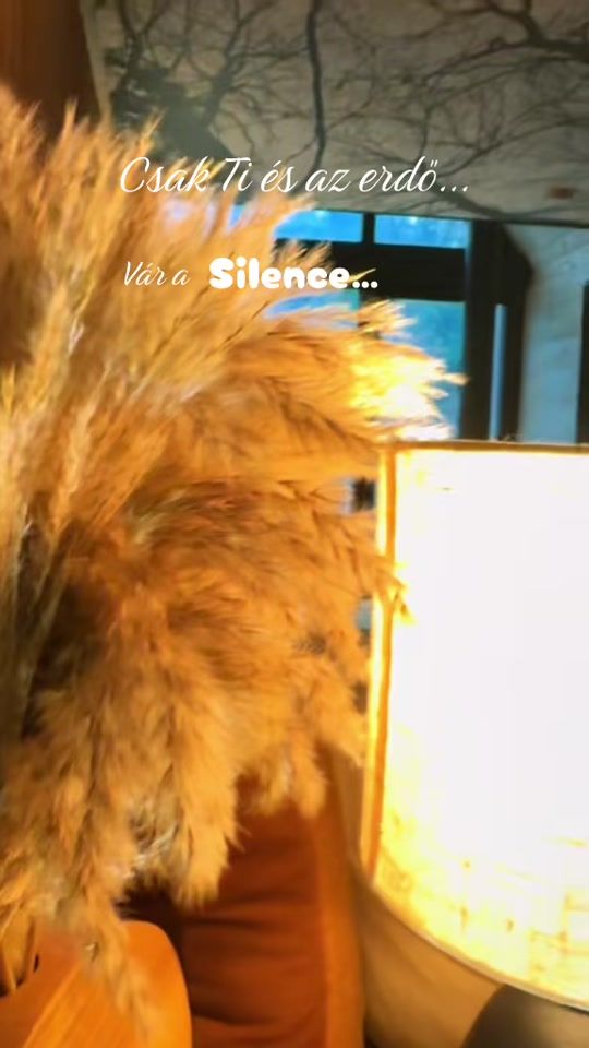 TikTok video thumbnail by aframeborzsonypagony