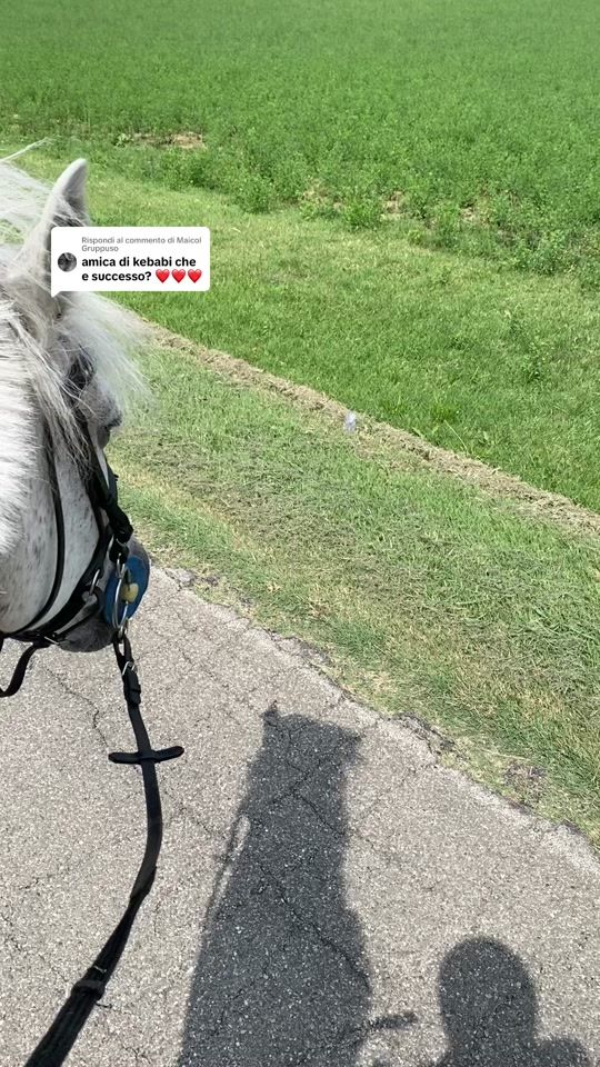 TikTok video thumbnail by carmen_corrain_
