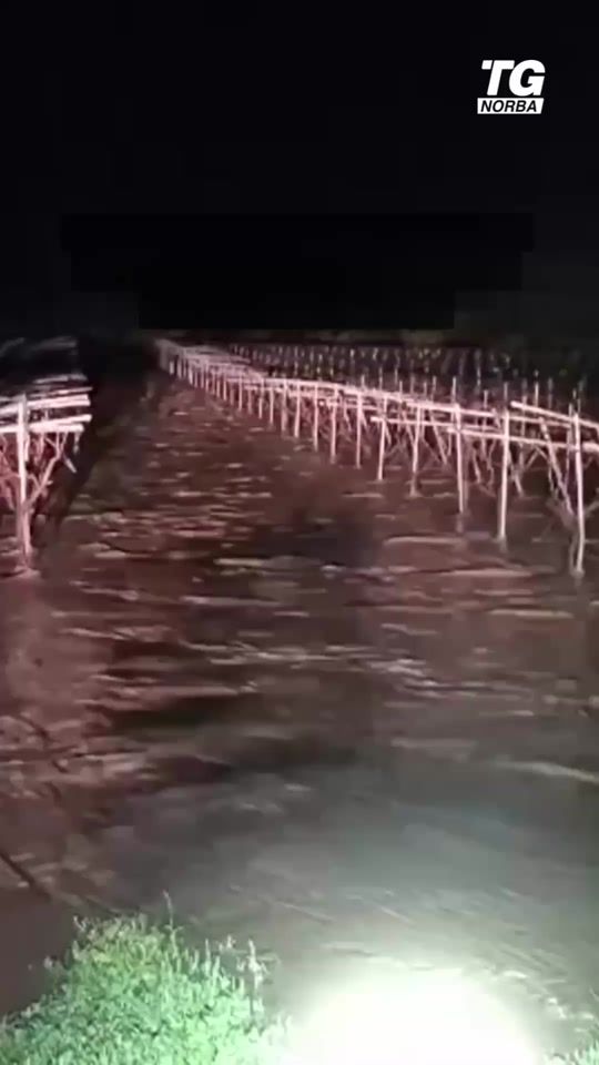 TikTok video thumbnail by tgnorba