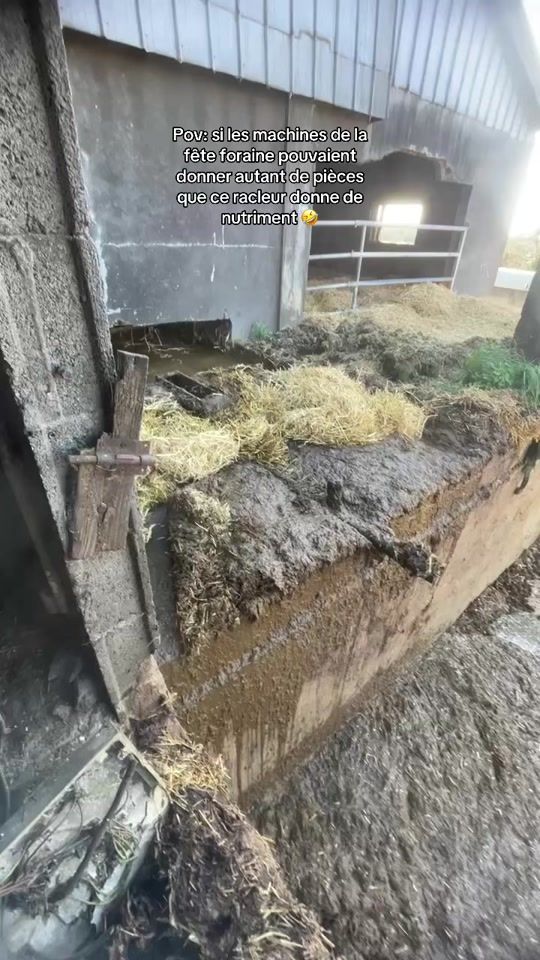 TikTok video thumbnail by glenn.cng294