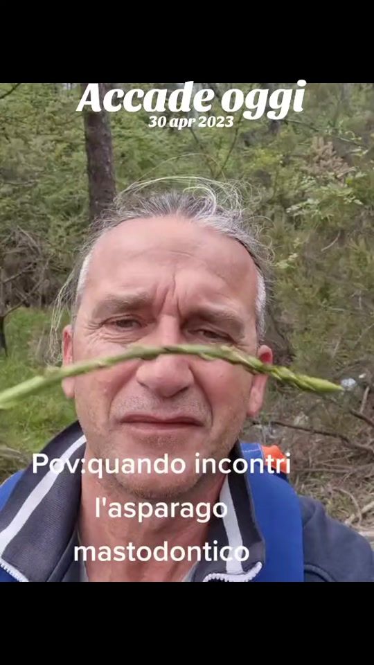 TikTok video thumbnail by solovideoironici_