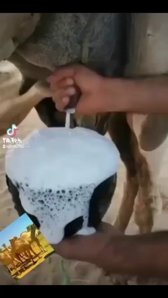 TikTok video thumbnail by t.m753