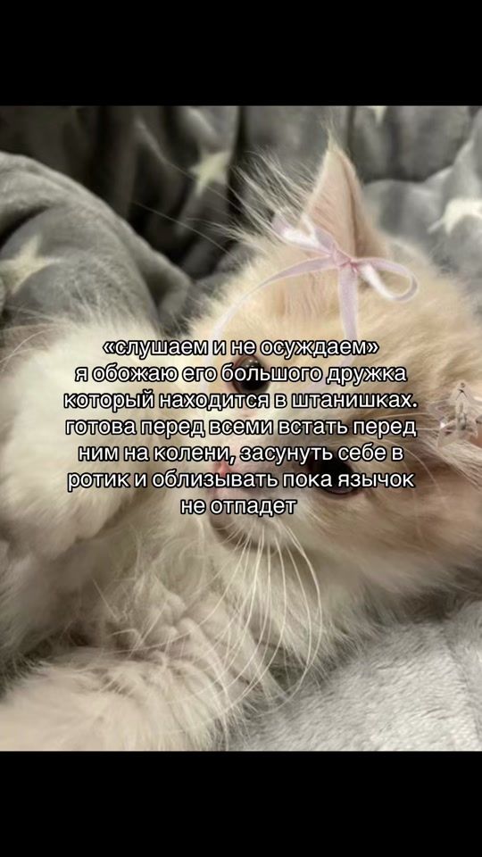 TikTok video thumbnail by susiks01