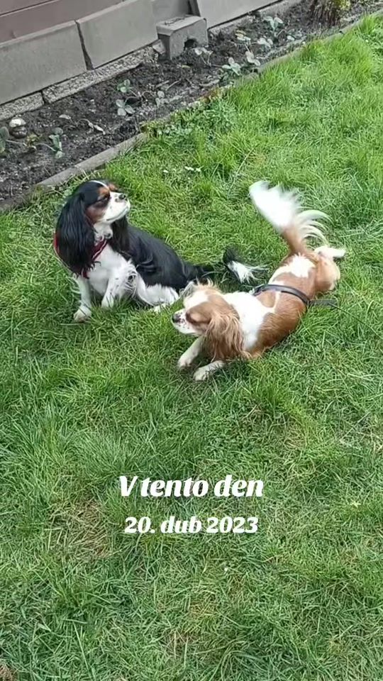 TikTok video thumbnail by meggikora