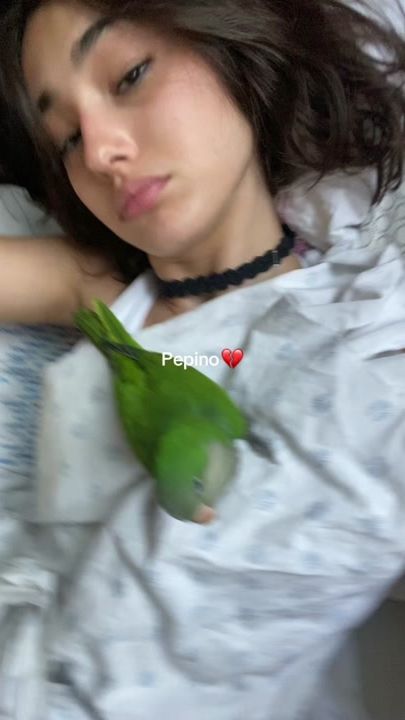 TikTok video thumbnail by _alimortacci