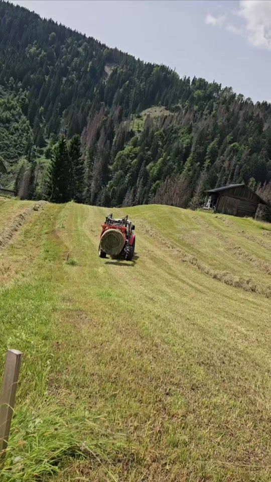 TikTok video thumbnail by s.wolsegger