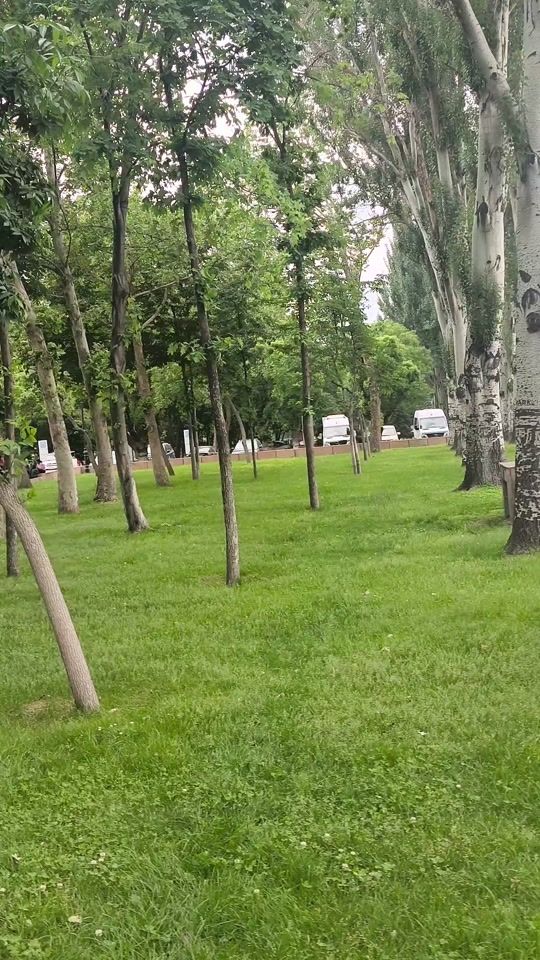 TikTok video thumbnail by guzala76
