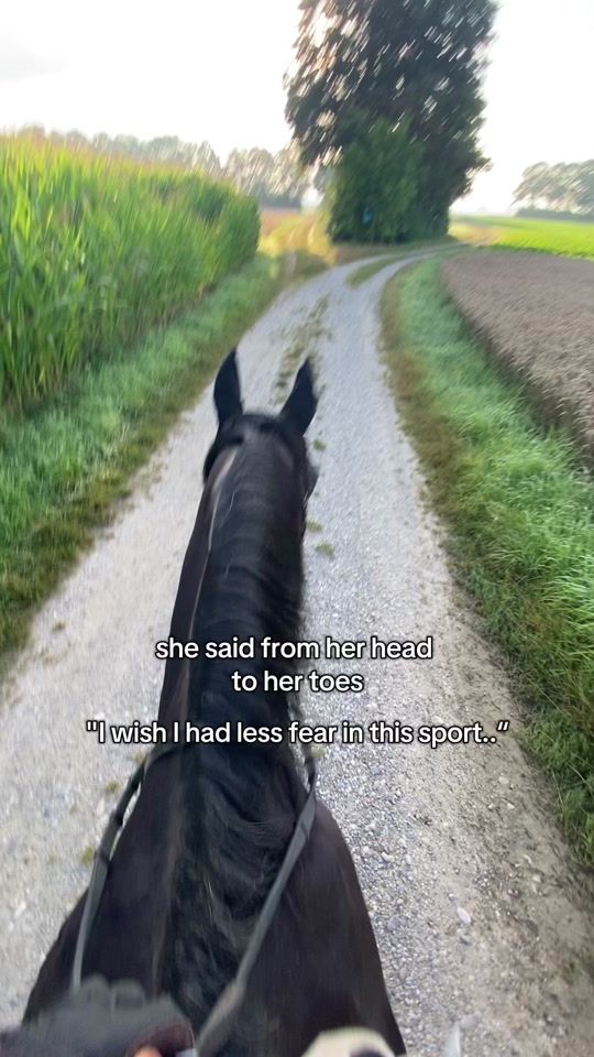 TikTok video thumbnail by thm_equest