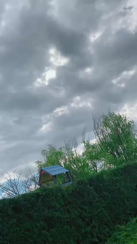 TikTok video thumbnail by vanq_koleva6