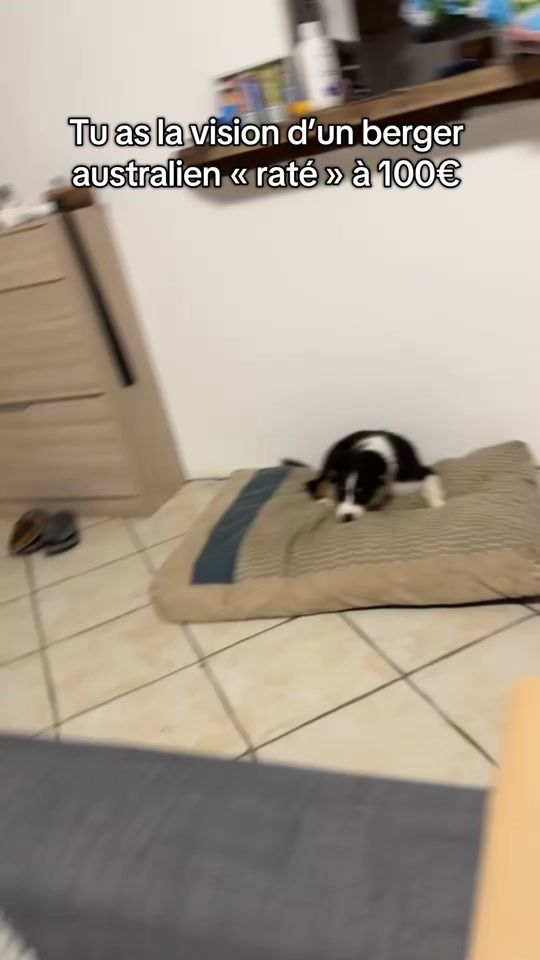 TikTok video thumbnail by jonytodc