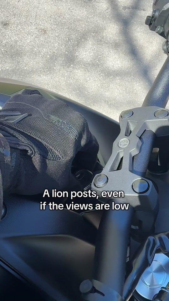 TikTok video thumbnail by vroomy_mt