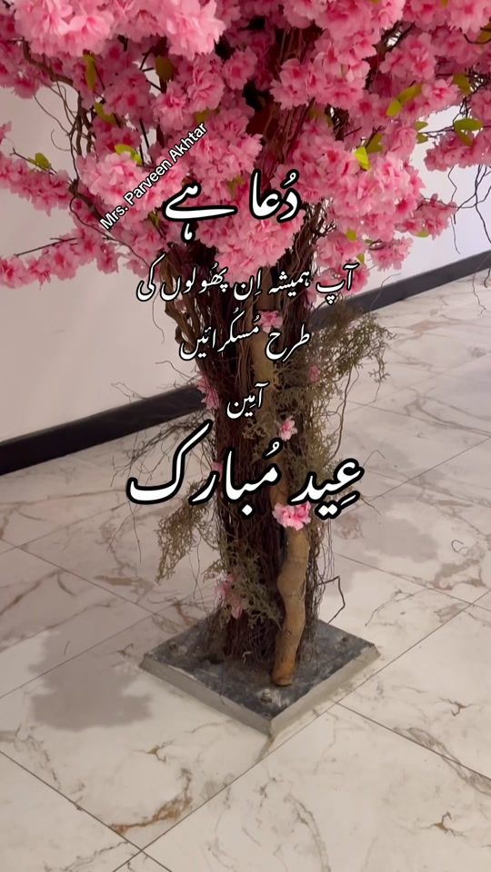 TikTok video thumbnail by mrsparveenakhtar