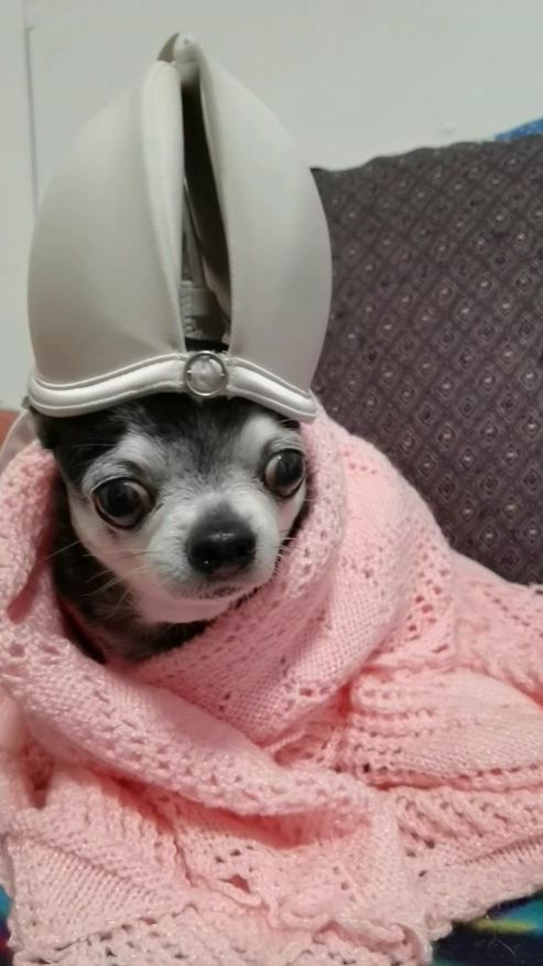 TikTok video thumbnail by lindinaeremy