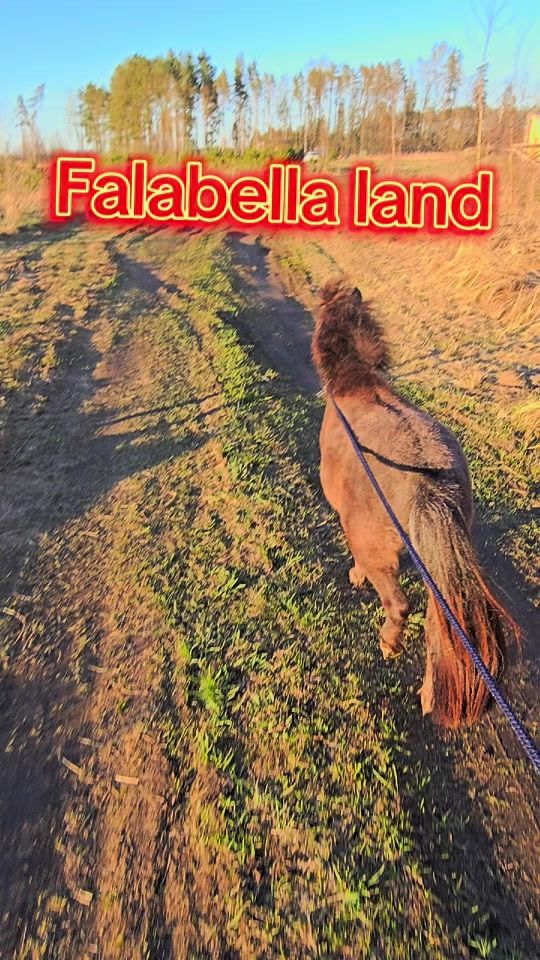TikTok video thumbnail by aigarsklavs