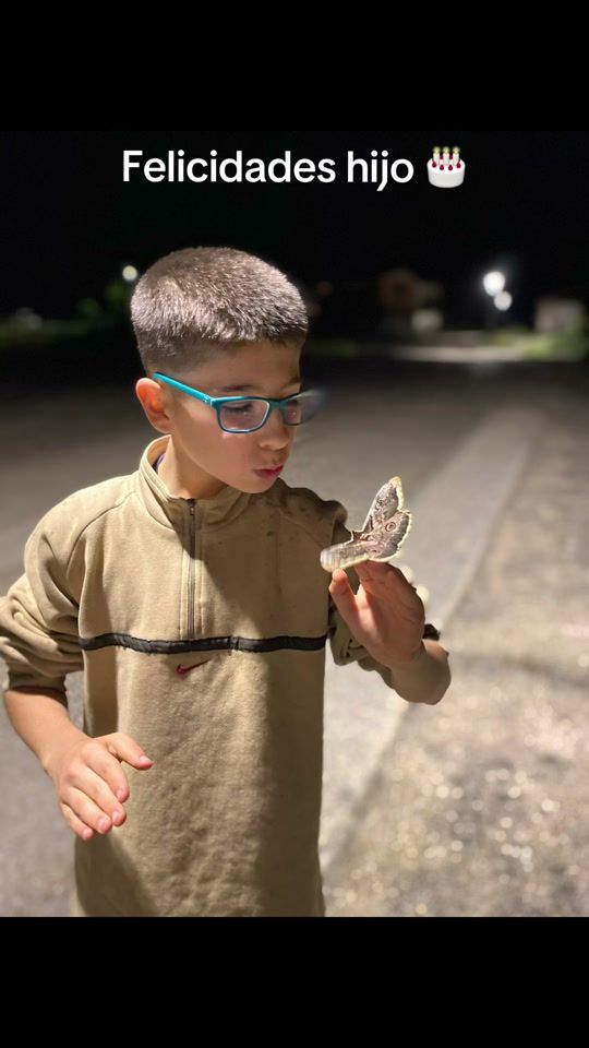 TikTok video thumbnail by team_sanchez_boxeo