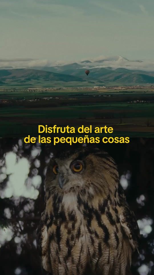 TikTok video thumbnail by vueling_es