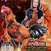 numnim_009