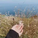 @scss1994