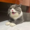 @bi_be0o