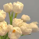 @jadysday._.6462