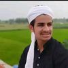 zehan011