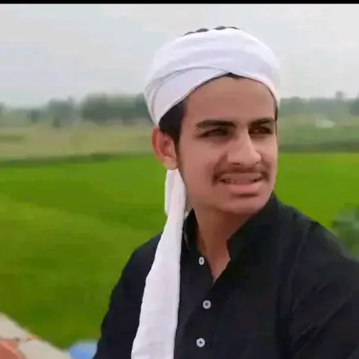 zehan011