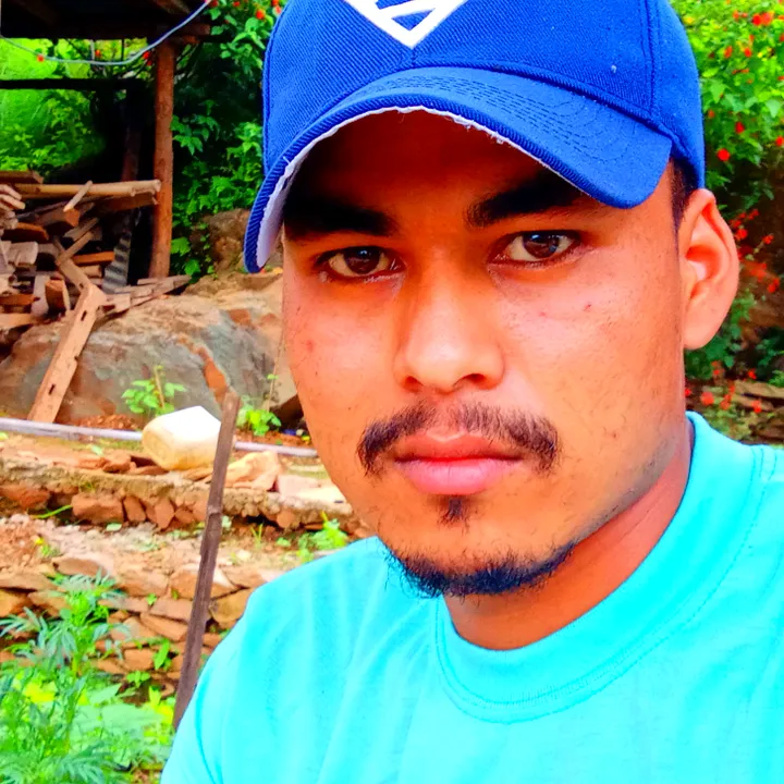 nabaraj523
