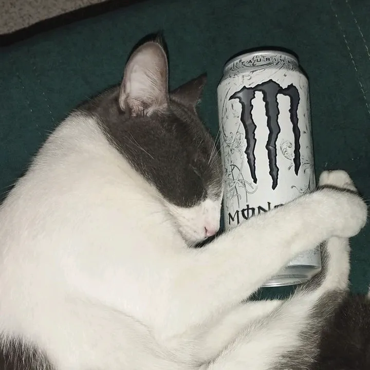 lelemvsj5sm