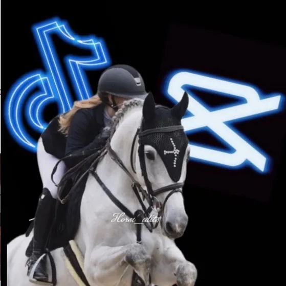 @horse_edits099
