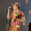 harrydaylight